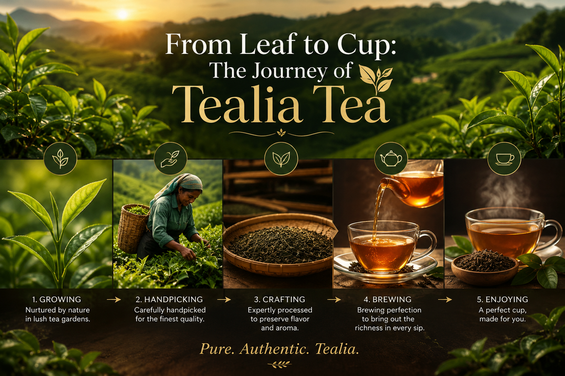 From Leaf to Cup: The Journey of Tealia Tea